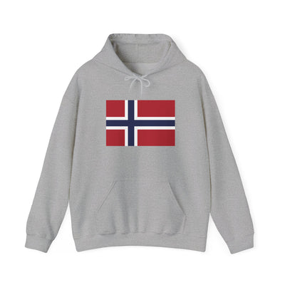 Norwegian Flag Hooded Sweatshirt