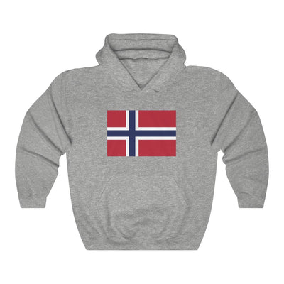 Norwegian Flag Hooded Sweatshirt Scandinavian Design Studio